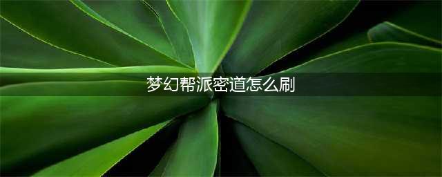 梦幻西游帮派密道怎么刷(梦幻帮派密道怎么刷)