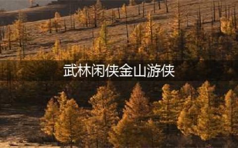 《武林闲侠》金山游侠功能开启教程 金山游侠作用是什么