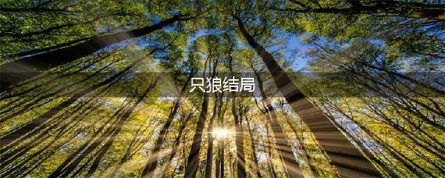 《只狼》游戏有几个结局 全结局达成方法图文教程(只狼结局)