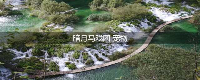《魔兽世界怀旧服》暗月马戏团宠物怎么样 暗月马戏团宠物介绍(暗月马戏团 宠物)