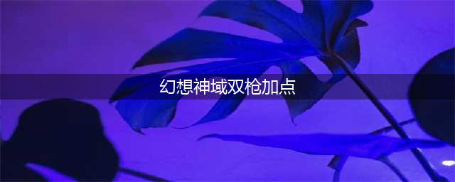 幻想神域双枪加点怎么加 最强双枪加点推荐(幻想神域双枪加点)