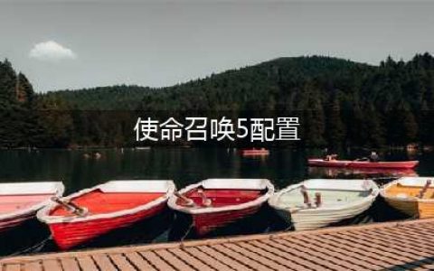 《使命召唤战区》Grau556新手怎么配置 Grau556新手配置推荐(使命召唤5配置)