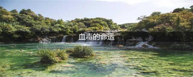 《魔兽世界》怀旧服wlk血毒的命运任务攻略