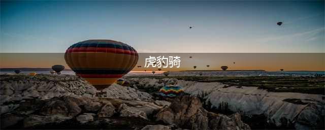 《三国志战略版》虎豹骑搭配攻略 虎豹骑该怎么用？(虎豹骑)