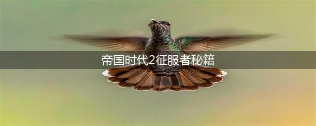 帝国时代2征服者专用秘籍(帝国时代2征服者秘籍)