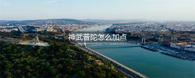 《神武4》普陀怎么加点 普陀加点分享(神武普陀怎么加点)