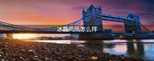 《云顶之弈》凤凰技能怎么样 冰晶凤凰技能属性解析(冰晶凤凰怎么样)