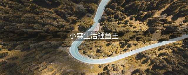 小森生活鲤鱼王鱼饵怎么获得(小森生活鲤鱼王)
