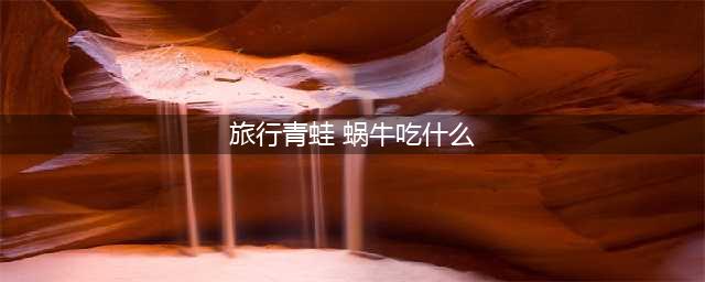 《旅行青蛙》蜗牛吃什么 蜗牛喜欢的食物一览(旅行青蛙 蜗牛吃什么)