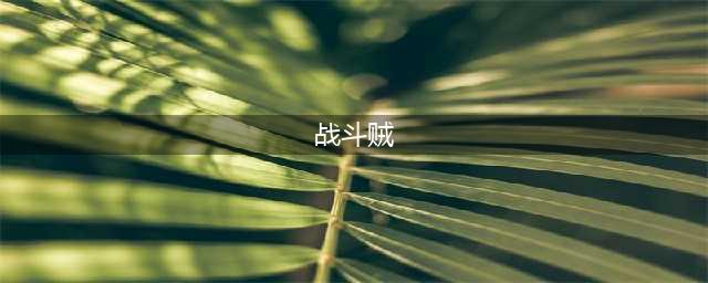 《魔兽世界怀旧服》战斗贼天赋怎么加点 战斗贼的加点攻略(战斗贼)