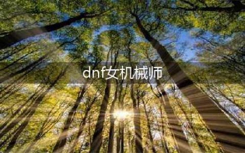 DNF110级机械战神女机械师毕业装备推荐(dnf女机械师)