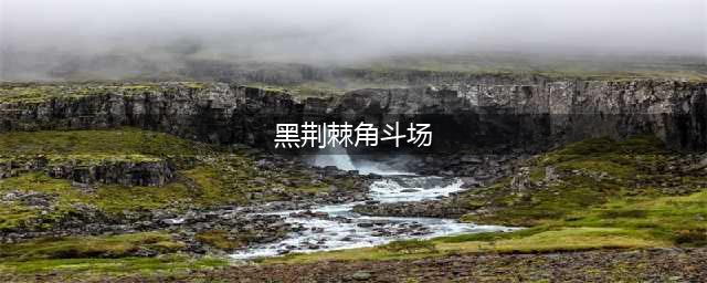《黑荆棘角斗场》全风格流派怎么选择 全风格流派选择推荐(黑荆棘角斗场)