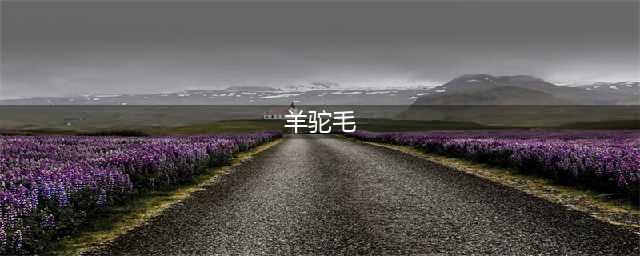 《牧场物语再会矿石镇》羊驼毛是什么 羊驼毛介绍(羊驼毛)