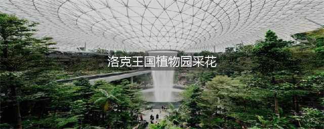 洛克王国木灵石怎么获取