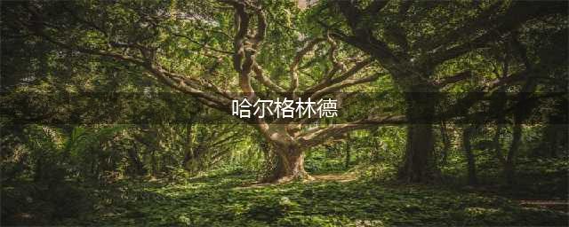 《魔兽世界》嚎风峡湾量身订制任务攻略