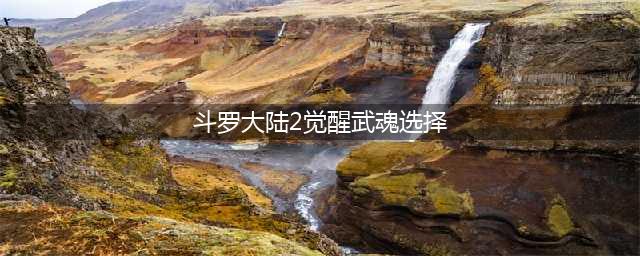 《斗罗大陆2绝世唐门手游》武魂觉醒选择推荐 武魂觉醒选什么好(斗罗大陆2觉醒武魂选择)