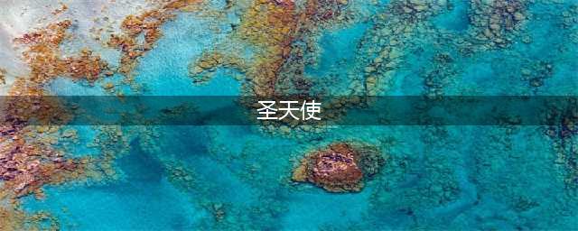《云上城之歌》圣天使怎么获得 圣天使获取方法介绍(圣天使)