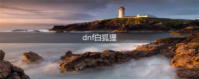 dnf迷之白狐狸是谁 dnf迷之白狐狸资料简介(dnf白狐狸)