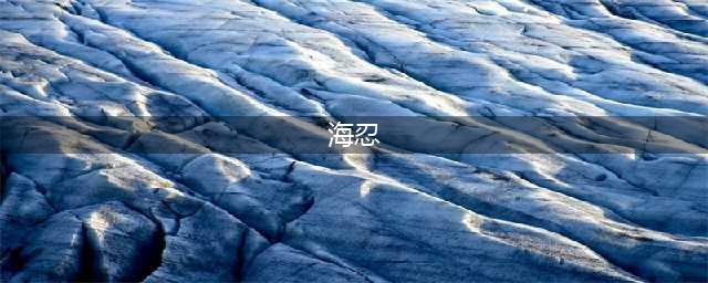 《阴阳师​》海忍怎么搭配 海忍搭配心攻略(海忍)
