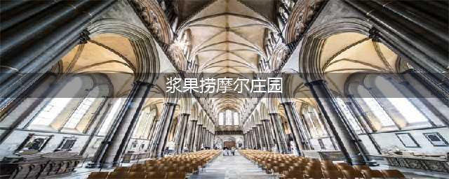《摩尔庄园手游》浆果捞怎么制作 浆果捞做法图文教程