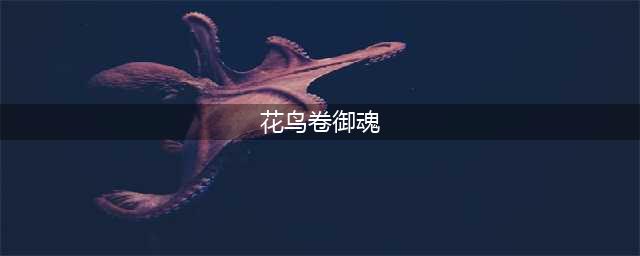 《阴阳师》SP绘世花鸟卷御魂搭配推荐