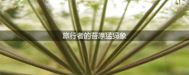《魔兽世界》旅行者的苔原猛犸象在哪买
