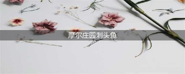 摩尔庄园手游刺头鱼如何钓