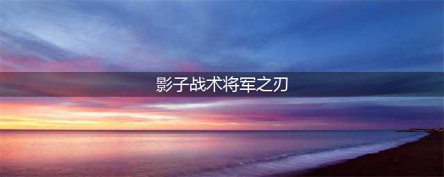 《影子战术将军之刃》图文攻略 全章节流程图文攻略(影子战术将军之刃)