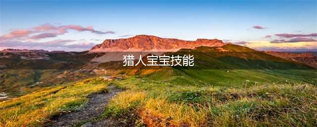 《魔兽世界怀旧服》猎人宝宝如何学技能 猎人宝宝学习技能攻略(猎人宝宝技能)