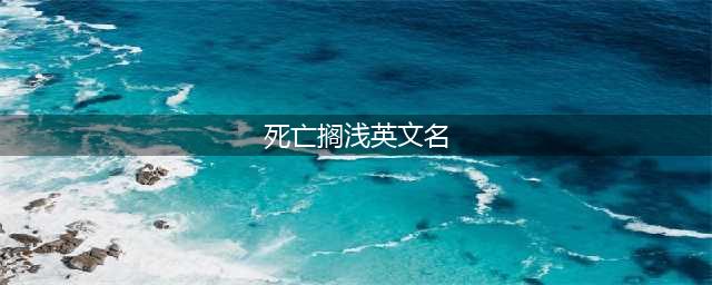 死亡搁浅英文名