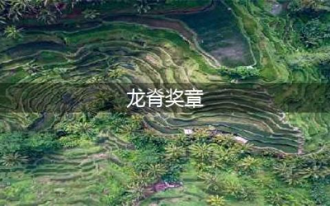 龙脊奖章属性(龙脊奖章)