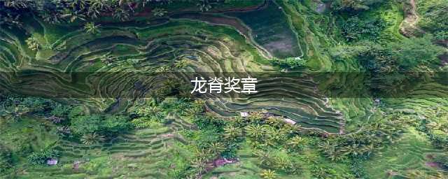 龙脊奖章属性(龙脊奖章)