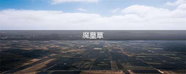 《魔兽世界》怀旧服WLK魔皇草位置介绍