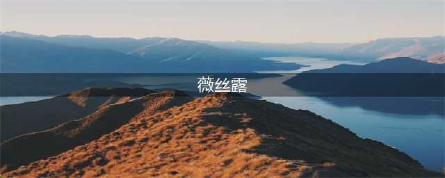 《拳皇》薇丝人物介绍 薇丝背景故事详解(薇丝露)