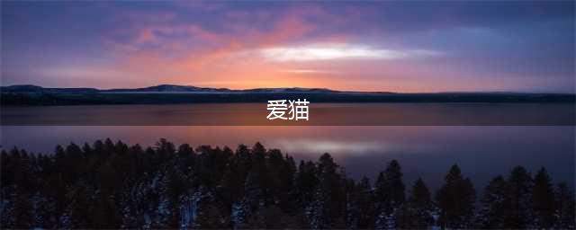 爱猫，一个全网最温暖、非营销号的猫咪公众号，欢迎关注！(爱猫)