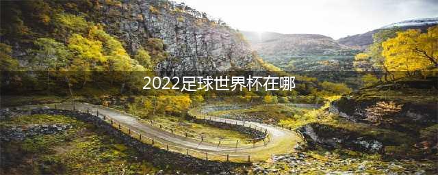 2022世界杯在哪里举办-2022世界杯举办地点一览