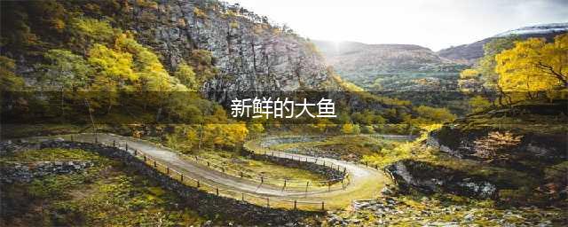 《魔兽世界怀旧服》新鲜的大鱼效果是什么 新鲜的大鱼介绍(新鲜的大鱼)