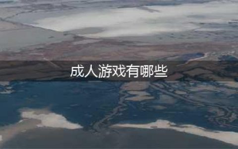 成人安卓游戏有哪些推荐2022 最热门成人安卓手游有什么(成人游戏有哪些)
