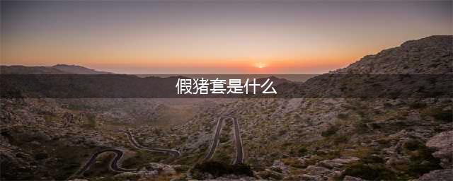 假猪套是什么怎么做叫什么 DNF假猪套天下第一是什么意思(假猪套是什么)