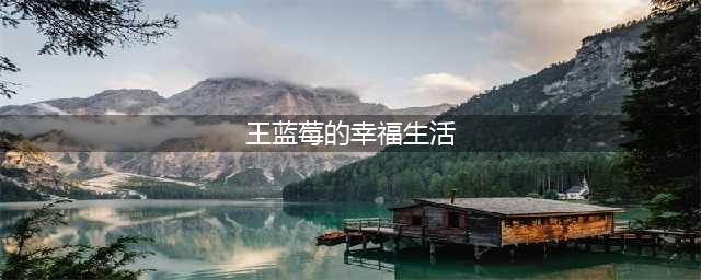 《王蓝莓的幸福生活》全关卡全小红花通关攻略大全汇总(王蓝莓的幸福生活)