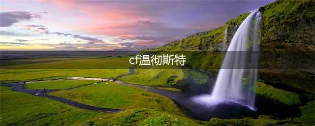 《穿越火线》最全的外服武器怎么样 最全的外服武器介绍(cf温彻斯特)