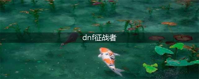 《DNF》征战者110级刷图加点详解(dnf征战者)