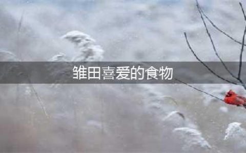 《火影忍者》手游忍者喜好樱花甜品是什么 忍者喜好樱花甜品一览(雏田喜爱的食物)