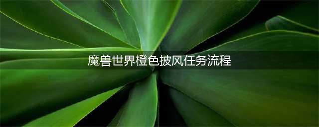 《魔兽世界》8.3橙色披风任务怎么解锁 橙色披风任务解锁流程攻略(魔兽世界橙色披风任务流程)