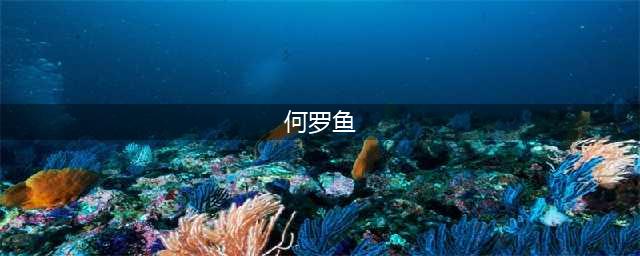 《鬼谷八荒》何罗鱼怎么打 洪荒剑修打何罗鱼技巧分享