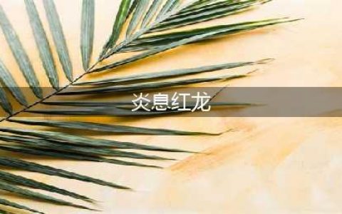 DNF炎息红龙属性介绍 DNF炎息红龙技能介绍(炎息红龙)