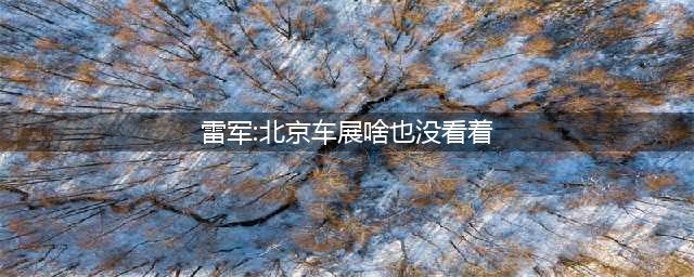 领克的第一款纯电车，用原创设计反“内卷”(雷军:北京车展啥也没看着)
