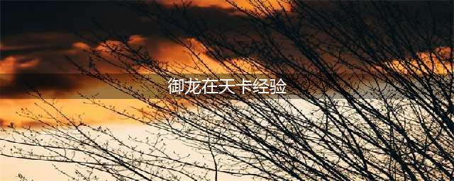 御龙在天手游封印怎么卡经验 御龙在天手游封印卡经验技巧(御龙在天卡经验)