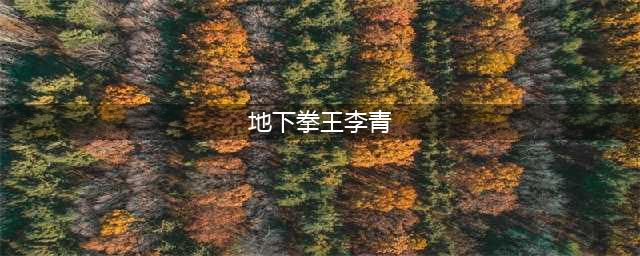 《LOL》地下拳王李青皮肤怎么样 地下拳王李青皮肤一览(地下拳王李青)