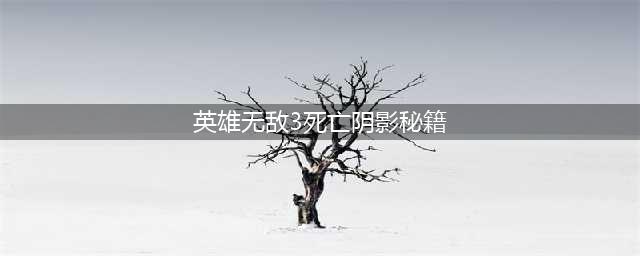 英雄无敌3死亡阴影秘籍有哪些 死亡阴影秘籍大全